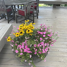 Beautiful-Landscaping-Project-Completed-in-Greenville-SC 2